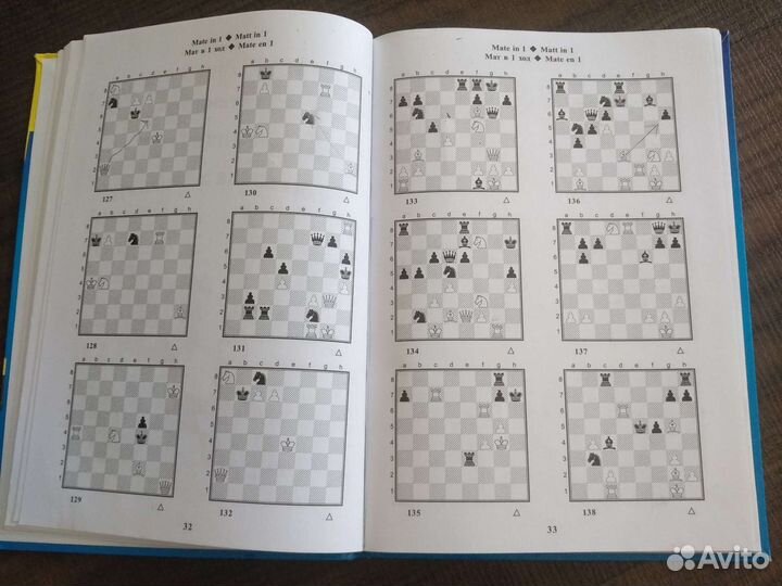 Карвин в Шахматном лесу 1