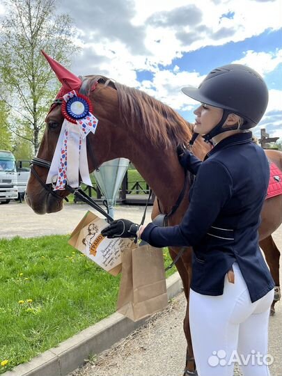 Занятия по верховой езде