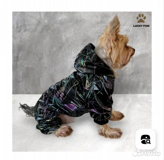 Дождевик для маленьких собак
