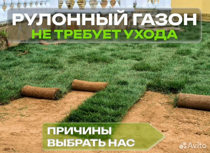 Рулонный газон. От производителя