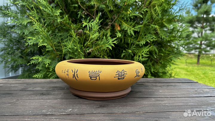 Плошка для бонсай