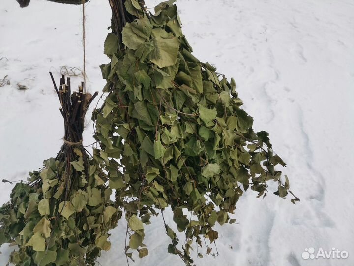 Веники для бани