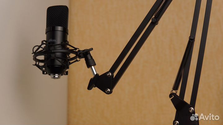 Микрофон Ritmix 169 usb