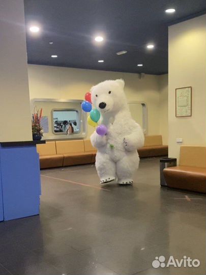 Поздравление мишкой аэромедведь