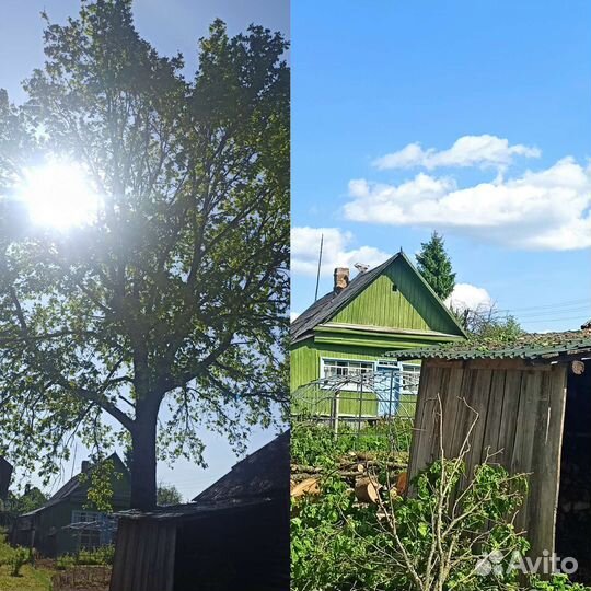 Спил деревьев,Расчистка участков