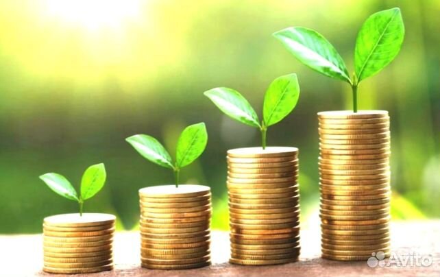 Создание и продвижение сайтов в Самаре. Самарский