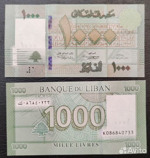 Купюры Ливана