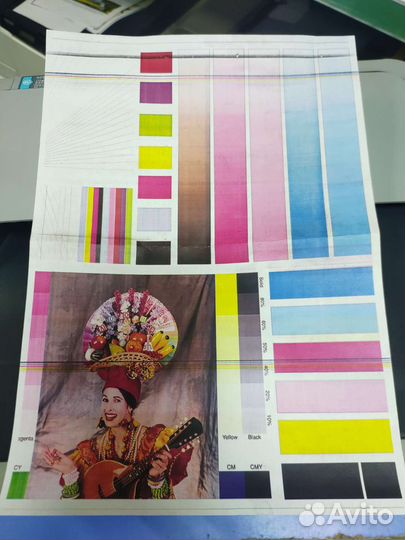 Цветной лазерный принтер samsung clp 310