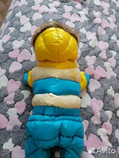 Комбинезон для собак мелких пород