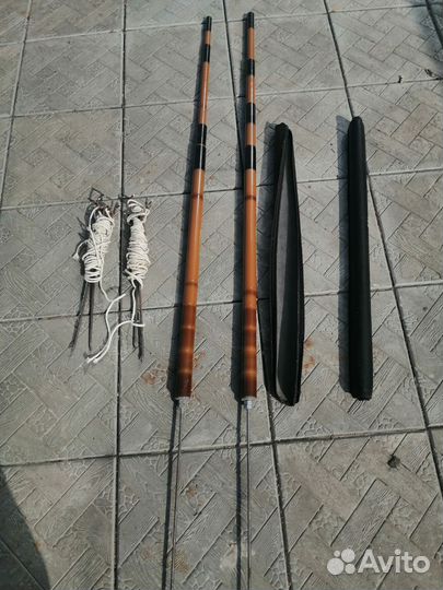 Певчие лесные птицы