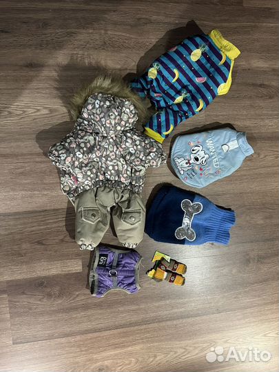 Комбинезон для собаки s