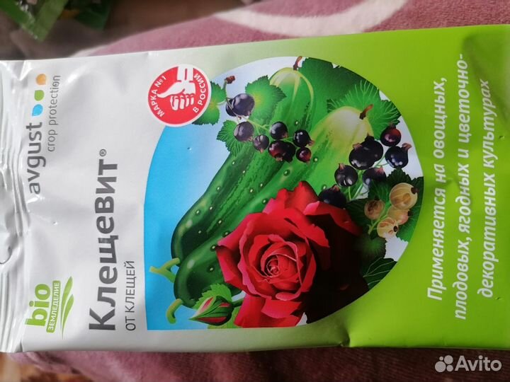 Растения для сада