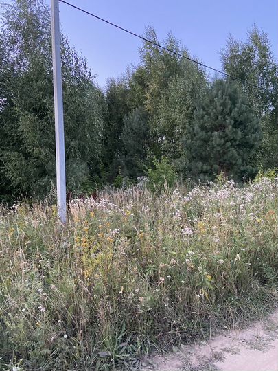 Участок 15 сот. (ИЖС)