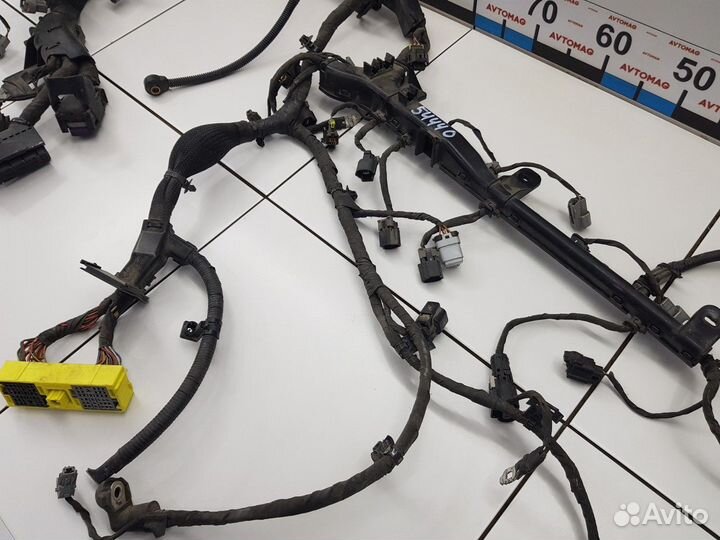 Электропроводка двигателя (Hyundai Equus)
