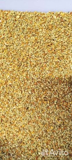 Пыльца пчелиная(обножка)