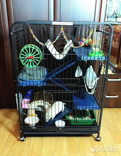 Клетка для грызунов, шиншил