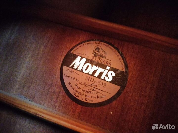 Акустическая гитара Morris md-502