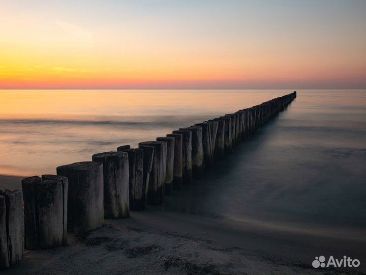 Экскурсия — Калининград — Куршская коса, Зеленогра