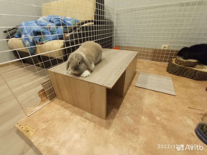 Домик для кролика