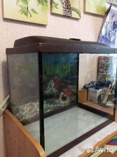 Аквариум