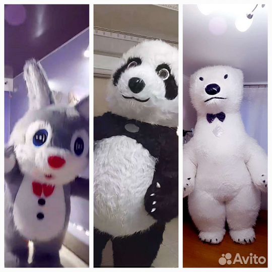 Поздравления от Белого Мишки