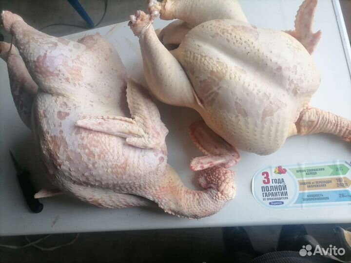 Продам индюков