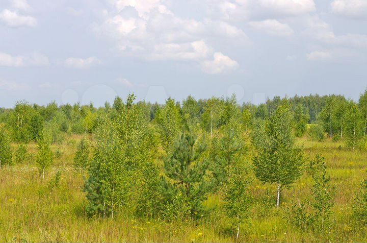 Участок 8,7 га (СНТ, ДНП)