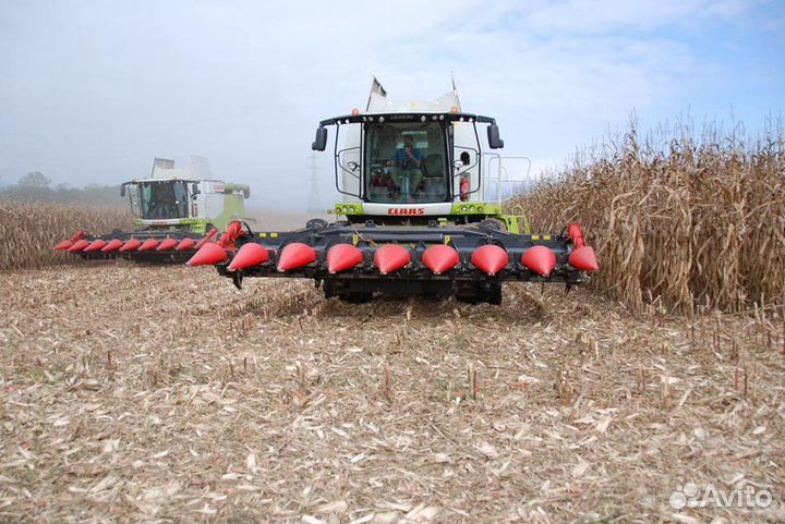 Жатка CAPELLO Diamant D8, 2024