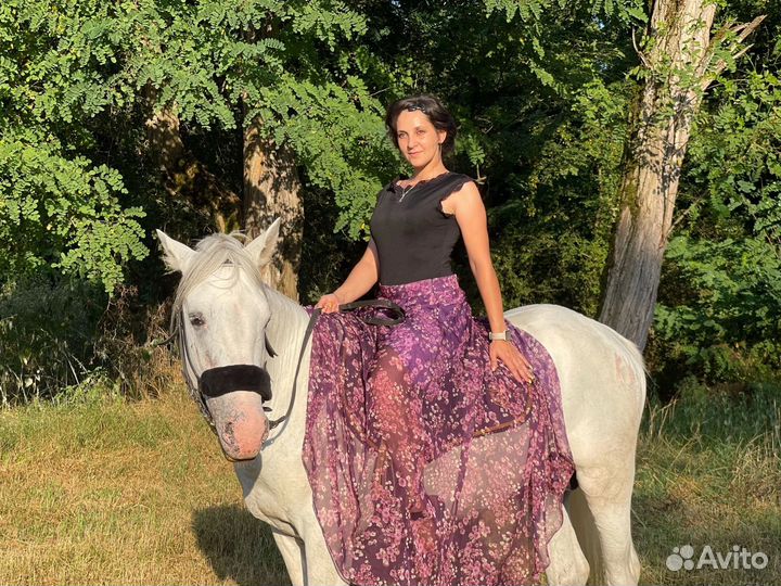 Фотосессии, аренда лошади