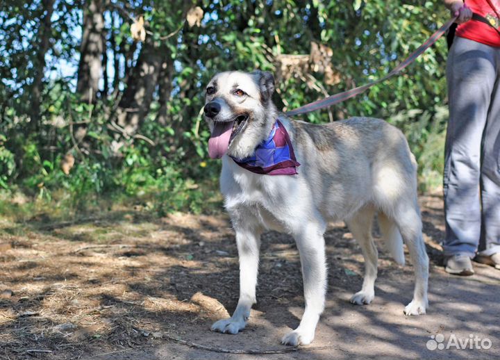 Нежная девочка