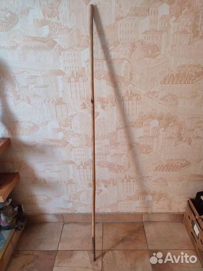 Палки бамбук