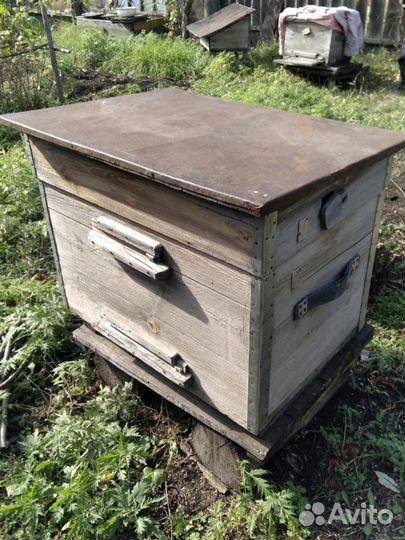 Улья и пчёлы