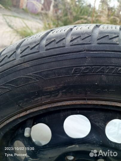 Sailun Ice Blazer Arctic 205/55 R16 91T