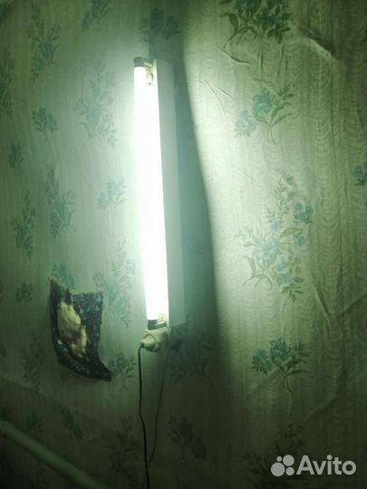 Светильник и лампа