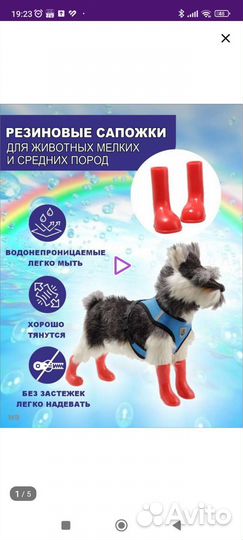 Сапожки для собак