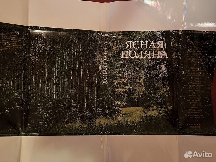 Ясная Поляна 