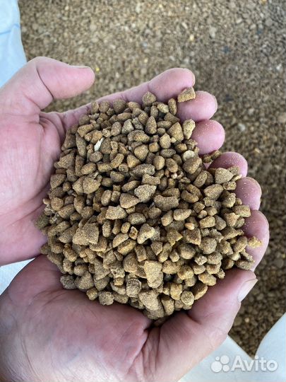 Полнорационный сухой премиум корм для собак