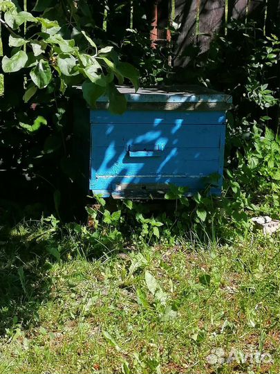 Улей для пчел