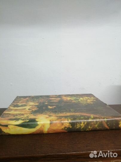 Заздравная чаша. Книга