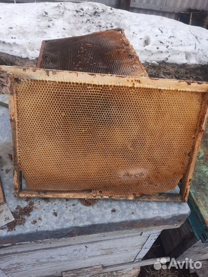 Рамки с вощиной