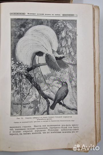 Мужчина и женщина. Т 2,3., 1911