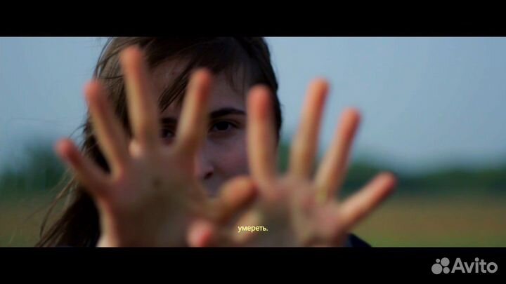 Видеооператор видеограф