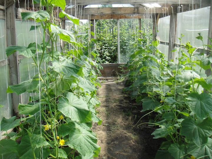 Дача 44 м² на участке 5 сот.