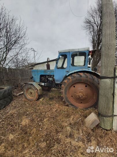 Трактор МТЗ (Беларус) 50, 1975
