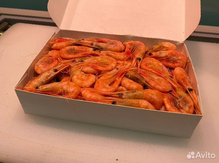 Креветка северная. Свежий улов. Опт