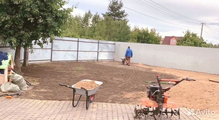 Рулонный газон