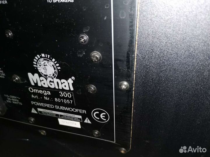 Сабвуфер Magnat Omega 300