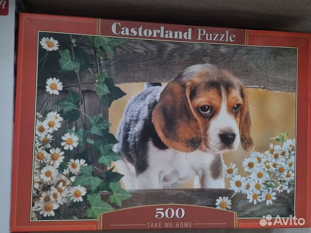 Пазлы Castorland, Trefl, Step Puzzle