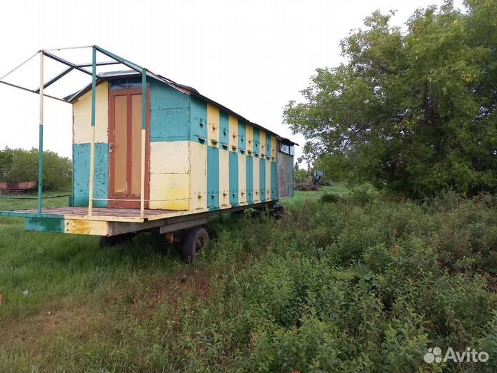 Павильон для пчел