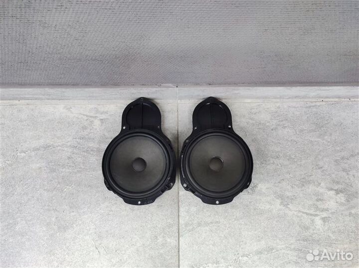 Динамики передние Vw Passat B7 Alltrack